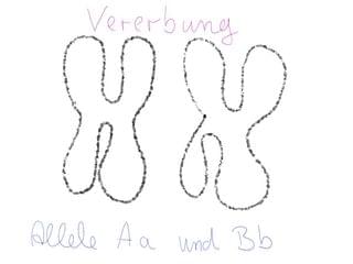 Genkopplung