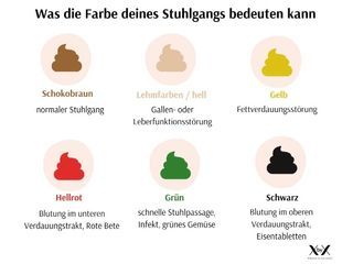 stuhlentleerung-def-kation