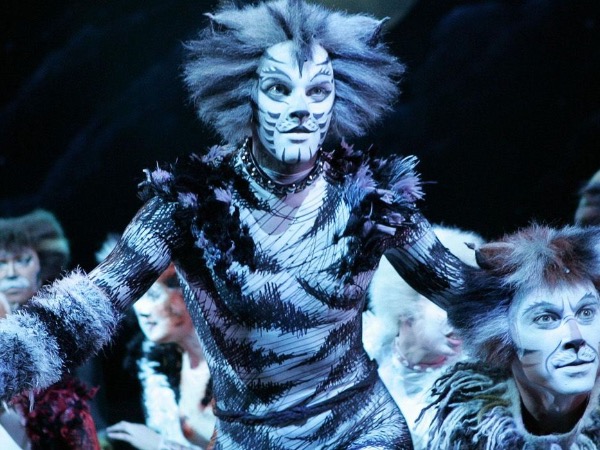 Cats